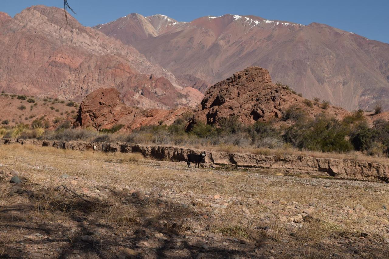Cabanas De Los Andes 우스파야타 외부 사진